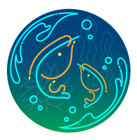Blue Pond Group